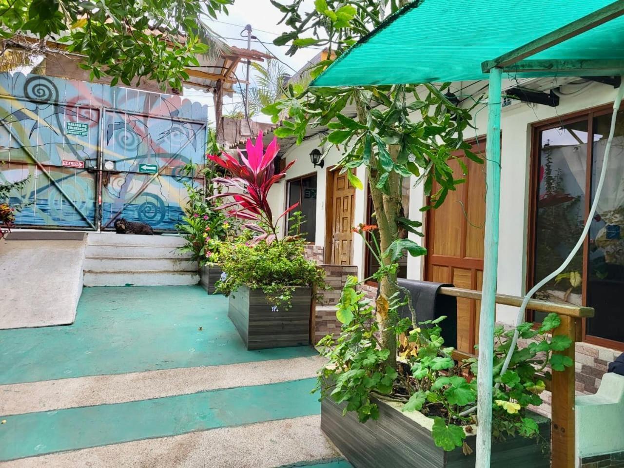 Nelyza'S Suites & Adventure Puerto Ayora  Exteriör bild