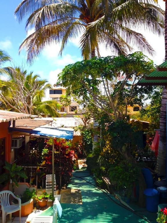 Nelyza'S Suites & Adventure Puerto Ayora  Rum bild